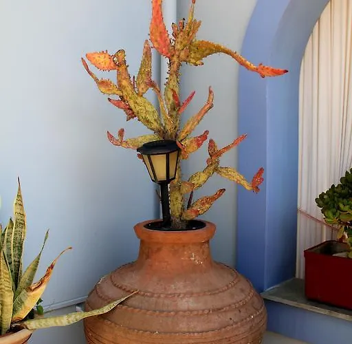 Aigli Appartamento *