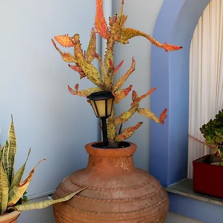 Aigli Апартаменты *